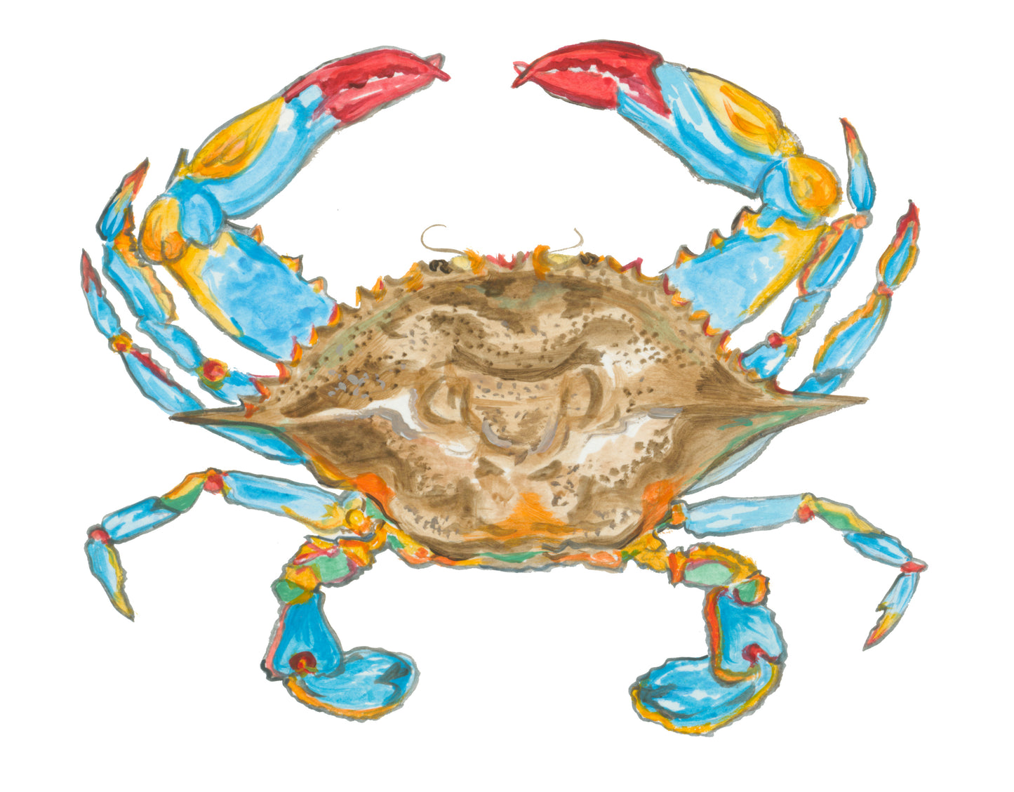 Blue Crab