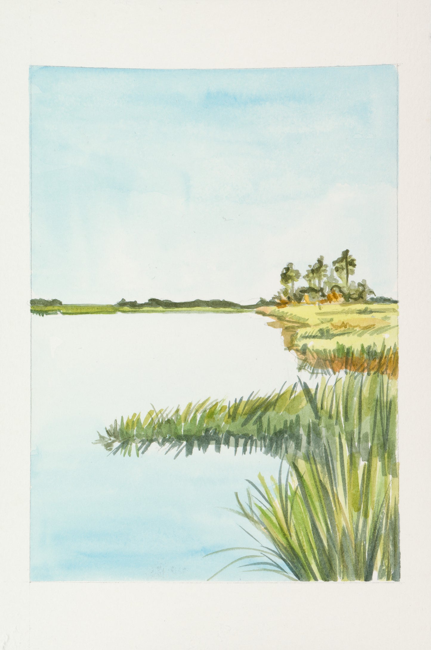 Marsh Island