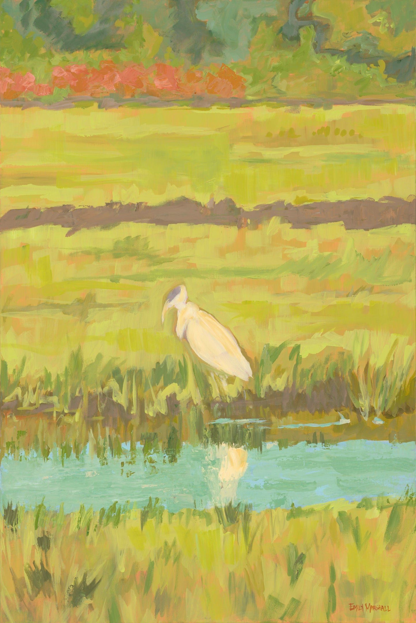 Wandering Stork